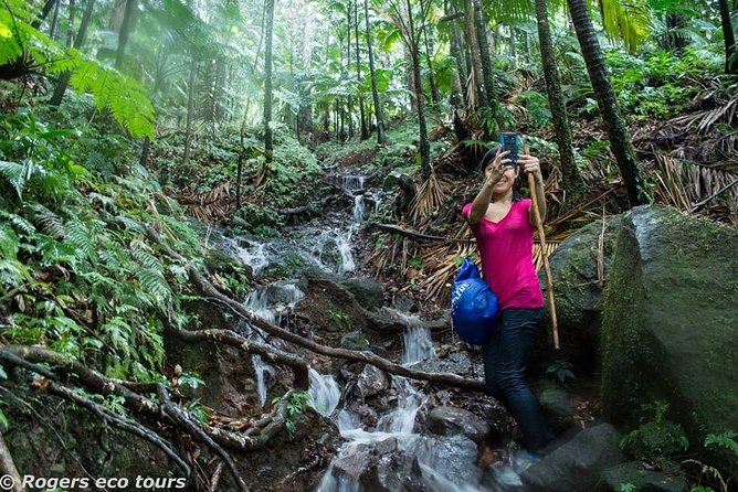 Volcano Caldera (Mt. Liamuiga) Trek / Hike - Key points to know before you book
