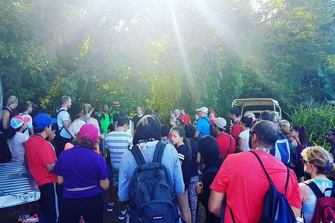 Volcano Caldera (Mt. Liamuiga) Trek / Hike - What the seven-hour day feels like