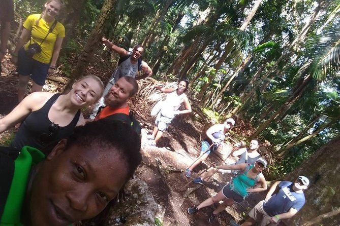 Volcano Caldera (Mt. Liamuiga) Trek / Hike - The crater opening is the physical payoff