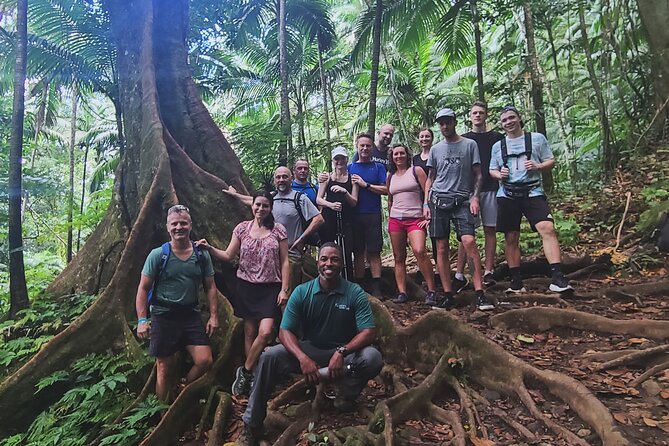 Volcano Caldera (Mt. Liamuiga) Trek / Hike - Who will enjoy this hike most?