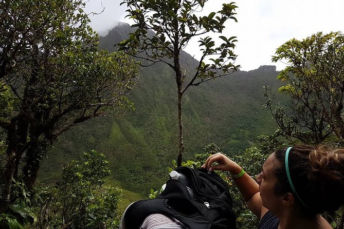 Volcano Crater Hiking Tour in St Kitts - The summit, crater, and picnic lunch