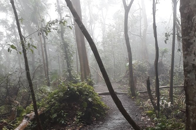 Volcano Crater Hiking Tour in St Kitts - How the $100 price measures up