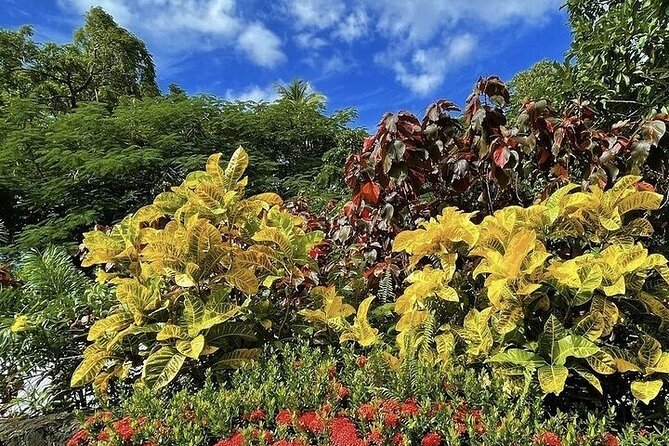 Wingfield Rainforest Adventure Hike and Caribelle Batik stop - A short St Kitts outing with two very different stops