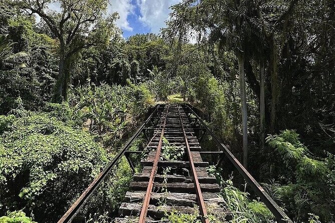 Wingfield Rainforest Adventure Hike and Caribelle Batik stop - Why the three-hour length works