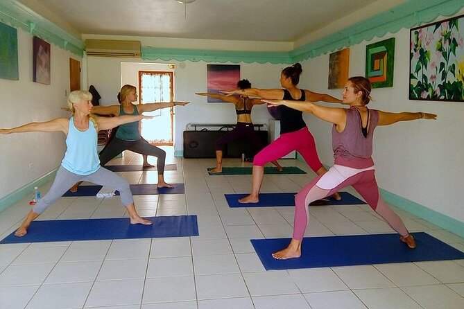 Yoga and Meditation, Group or Private Sessions in Nevis - Why the supplied mat matters