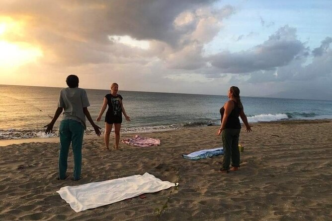 Yoga and Meditation, Group or Private Sessions in Nevis - Price, group size, and overall value